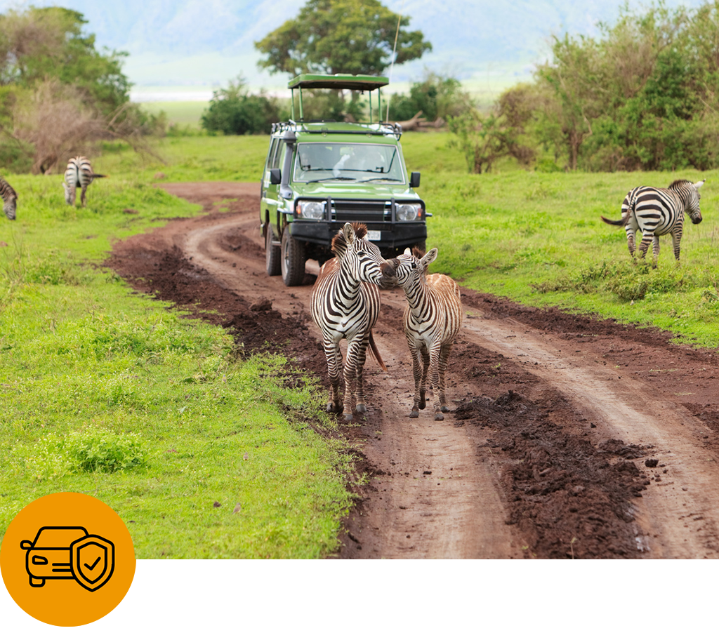 Comfleete safari and game drive experience featuring a safari Land Cruiser on a wildlife track alongside zebras in Kenya, offering comfortable transportation for unforgettable wildlife experiences.